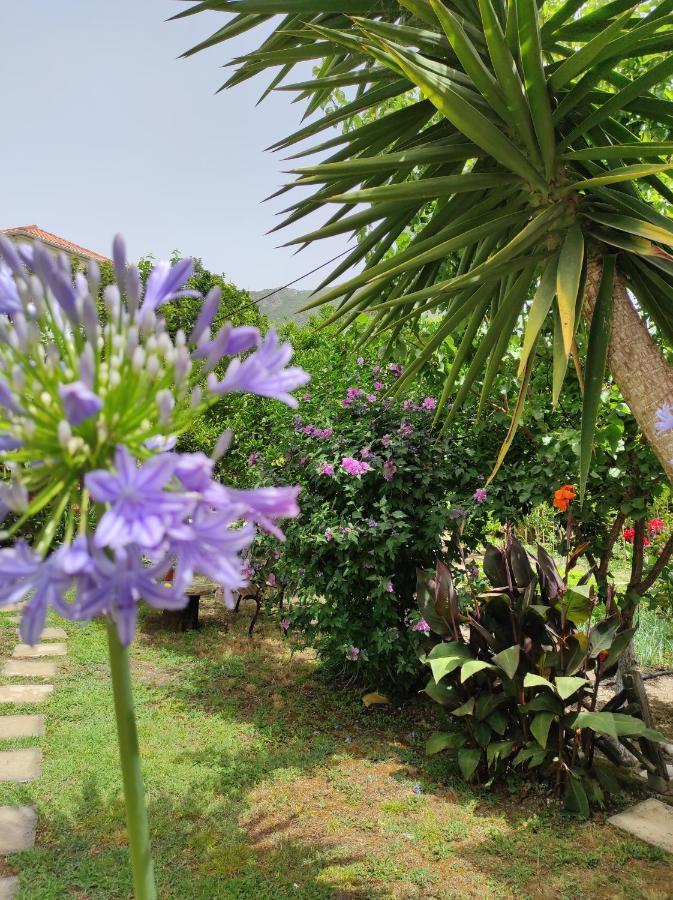 Epavli Veneti Hotel Parga Bagian luar foto